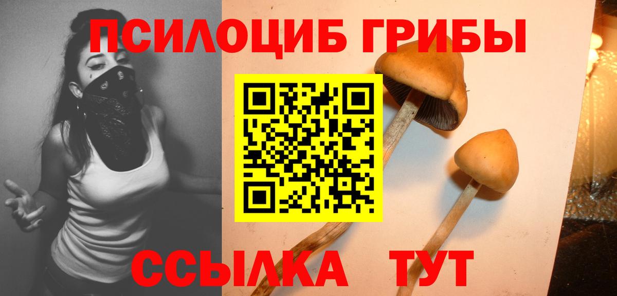 Псилоцибиновые грибы Psilocybe  Псилоцибиновые грибы ЛСД  Вход с VPN  Великий Новгород 